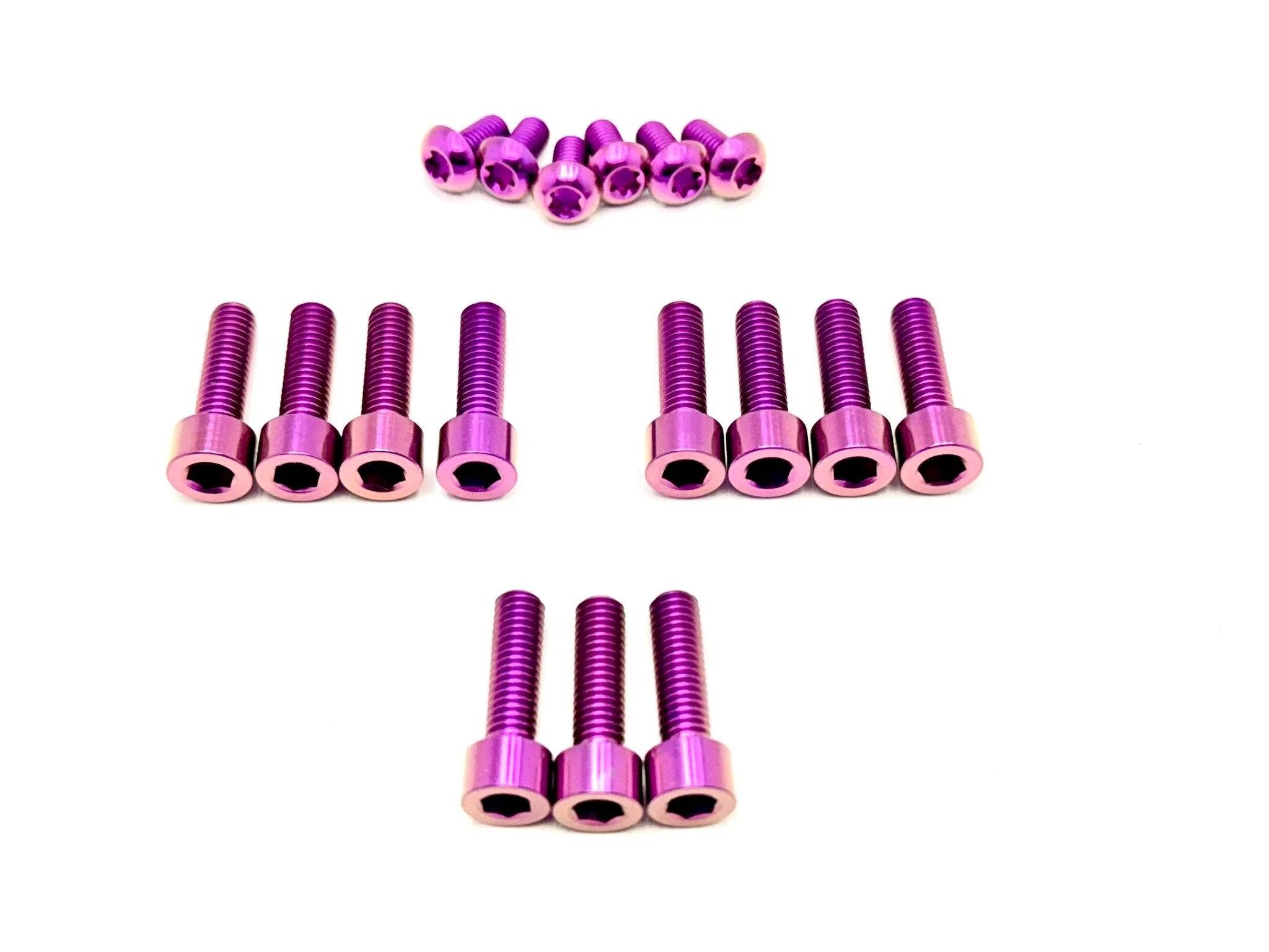 FastAce Fork Titanium Bolt Kits Surron, Talaria 17 Piece Kit - Image 3