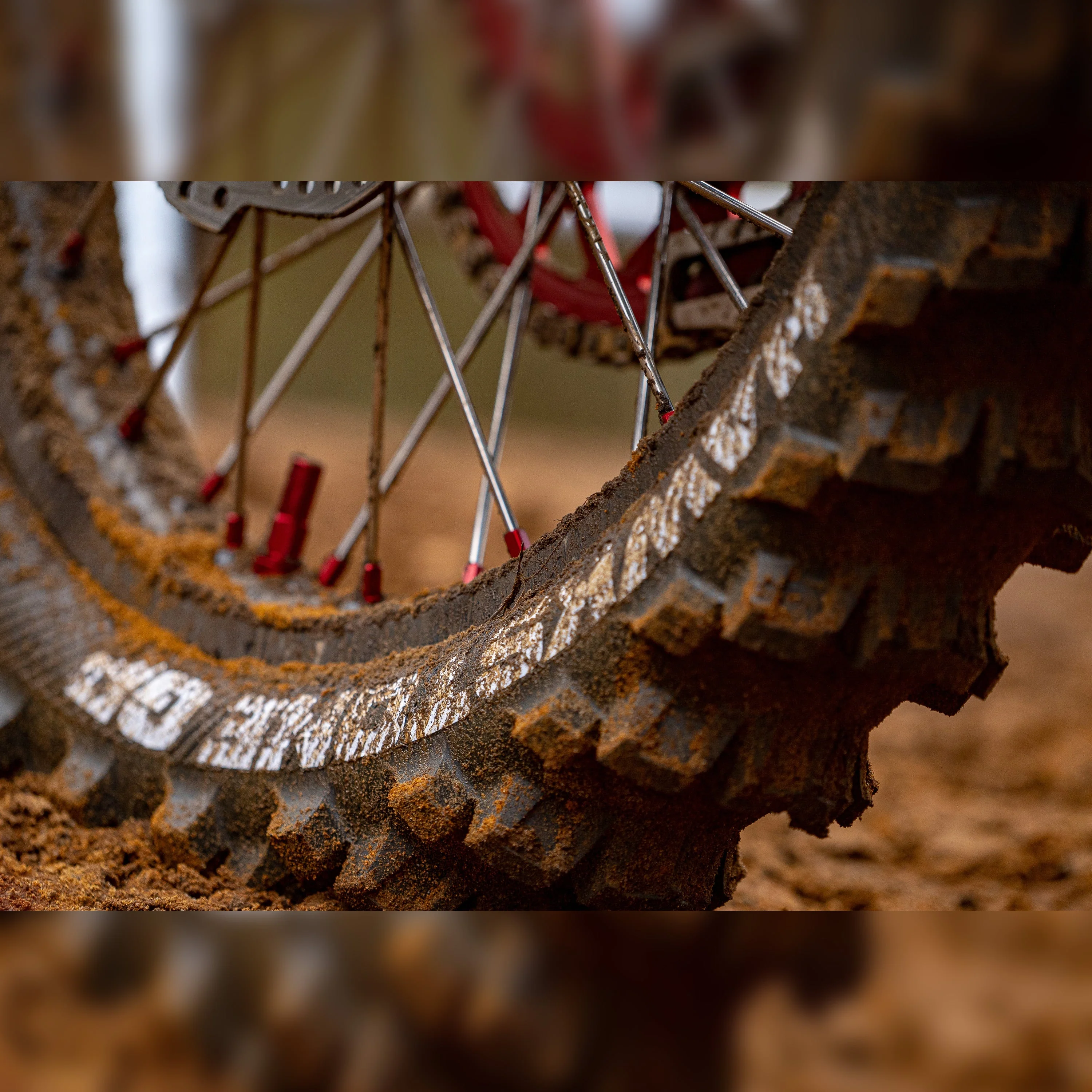 Plews Tyres - MX1 HAWKSTONE GP - Soft - Sand/Mud Paddle Rear Tire - Image 7