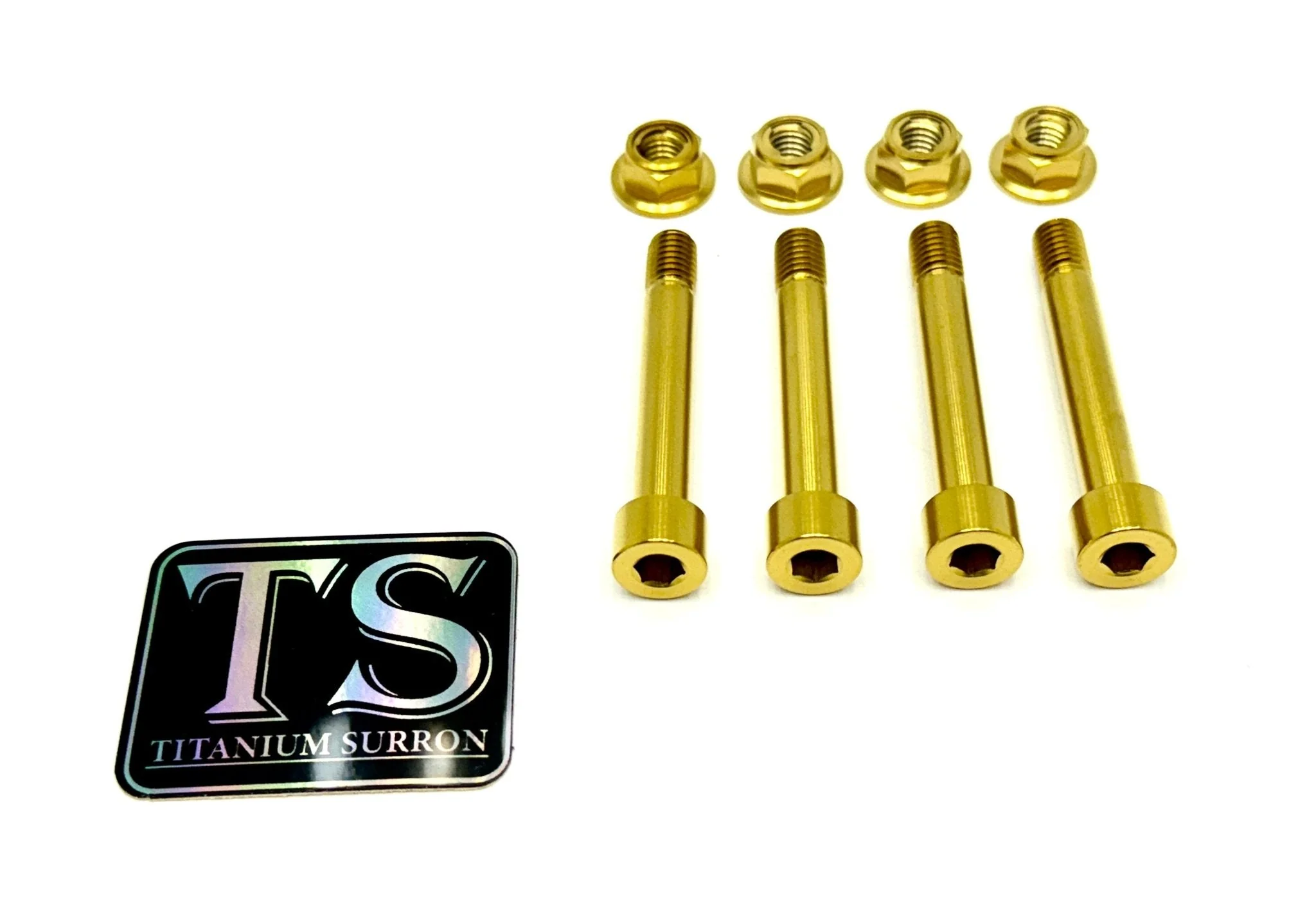 Rear Suspension/ Linkage Titanium Bolt Kit for E-Ride Pro ERP - Image 2