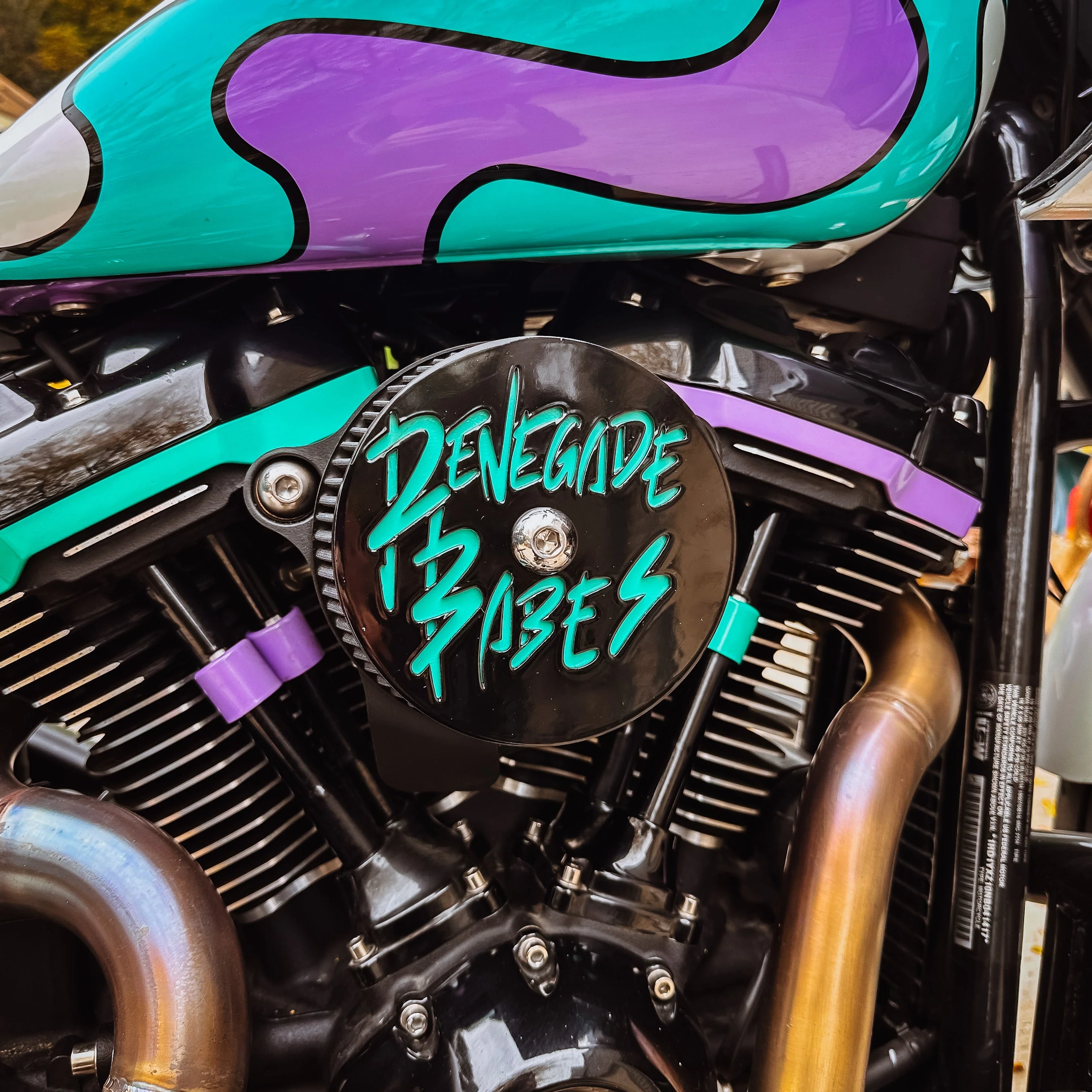 Renegade Babes Signature Air Cleaner Cover - Air Filter Cover for Harley Davidson - Image 2