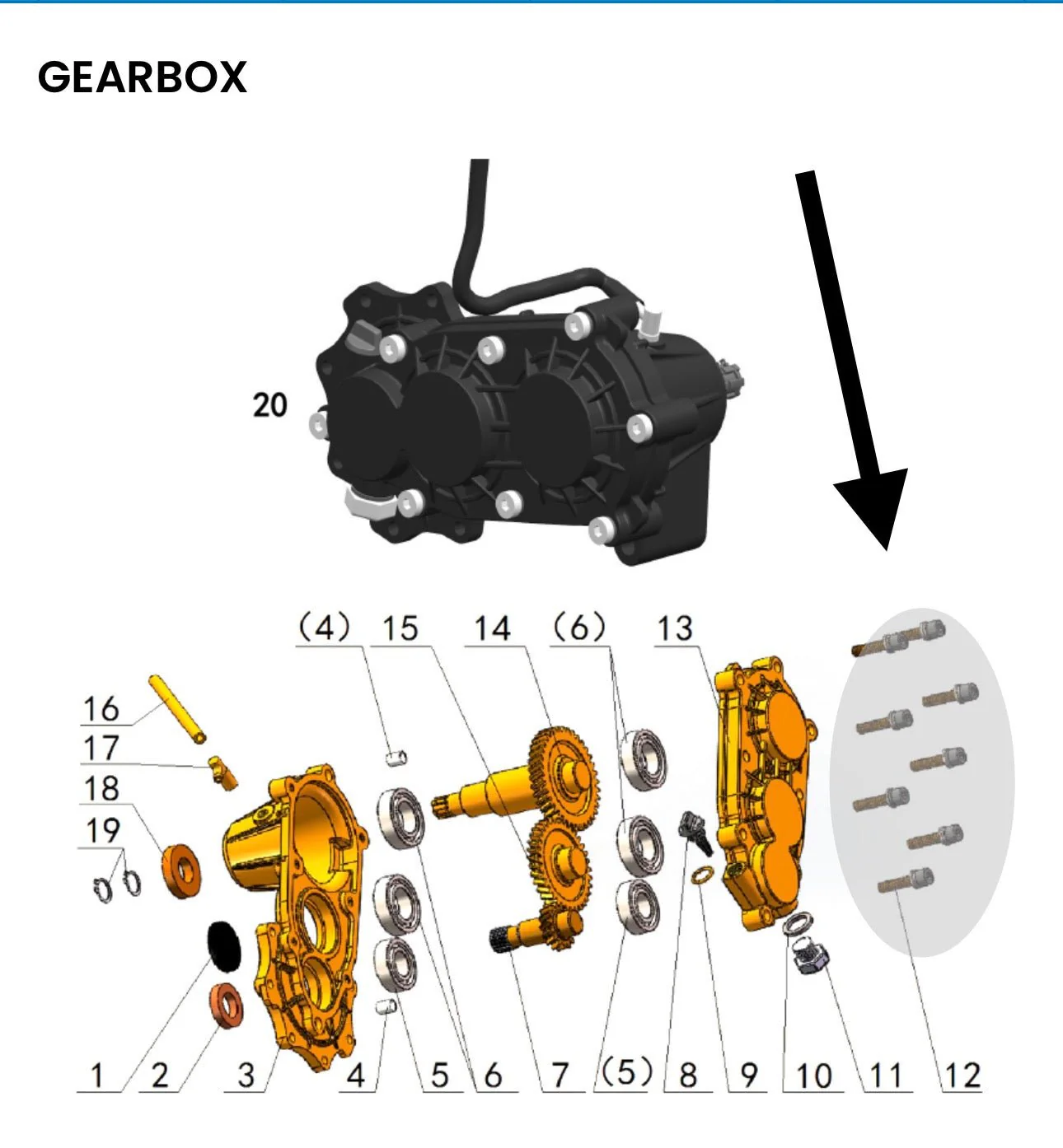 Talaria Sting R MX4 8 Piece Custom Gearbox Titanium Bolt Kit - Image 7