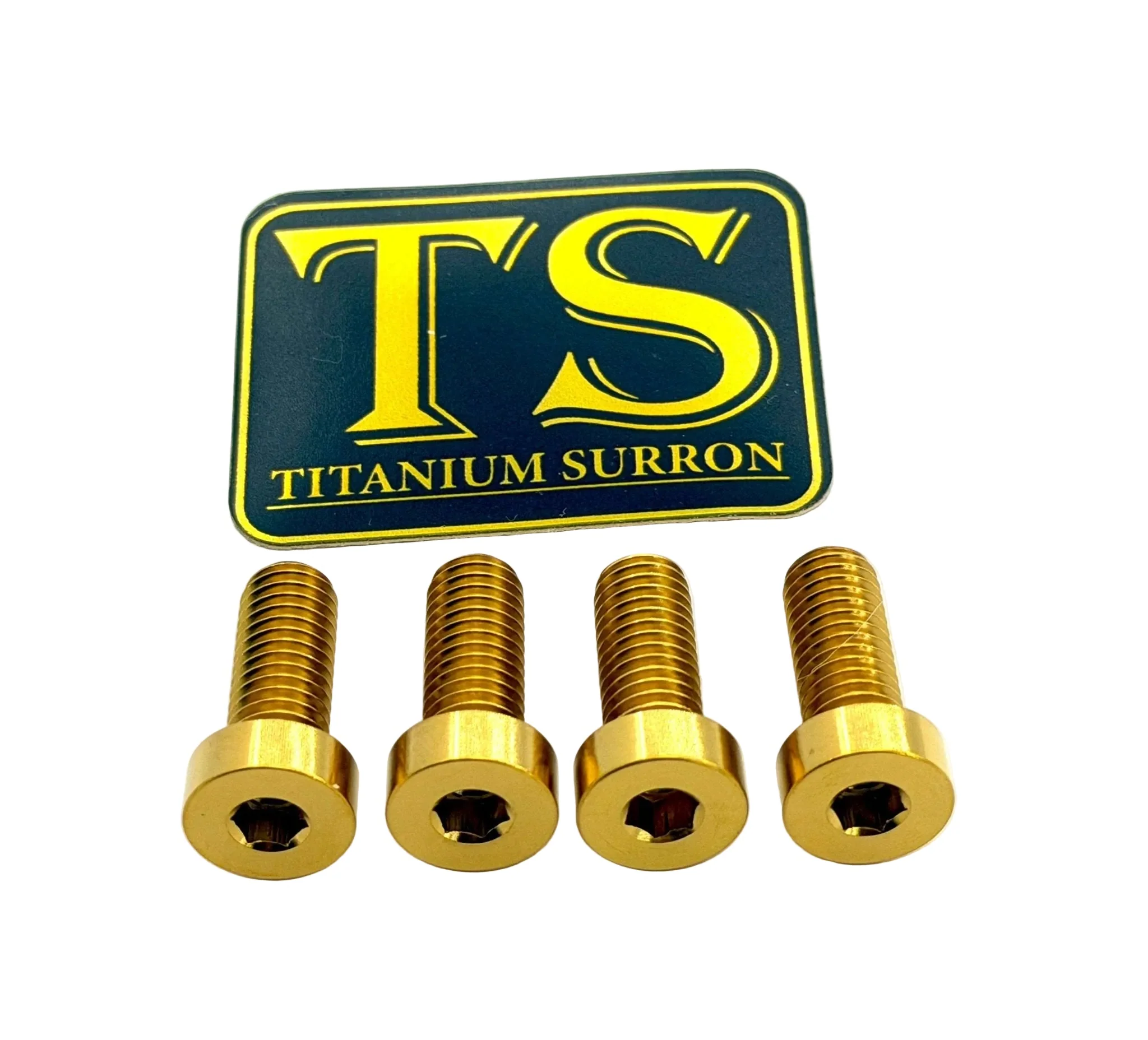 Talaria XXX Seat Subframe or Foot Peg Titanium Bolts (4) - Image 2