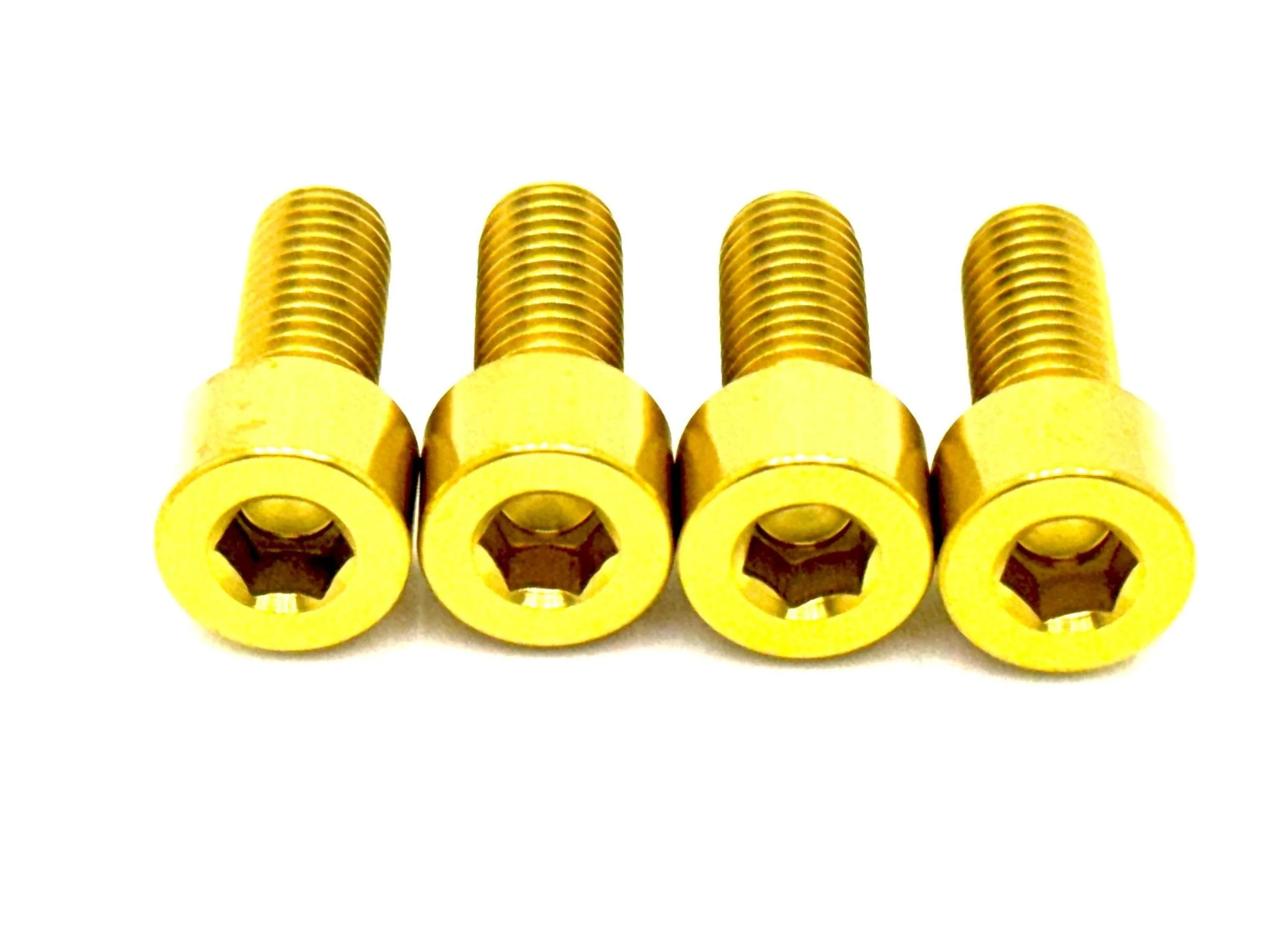 Titanium Bash Guard/ Skid Plate Bolts - Surron LBX and Segway (Set of 4) - Image 6