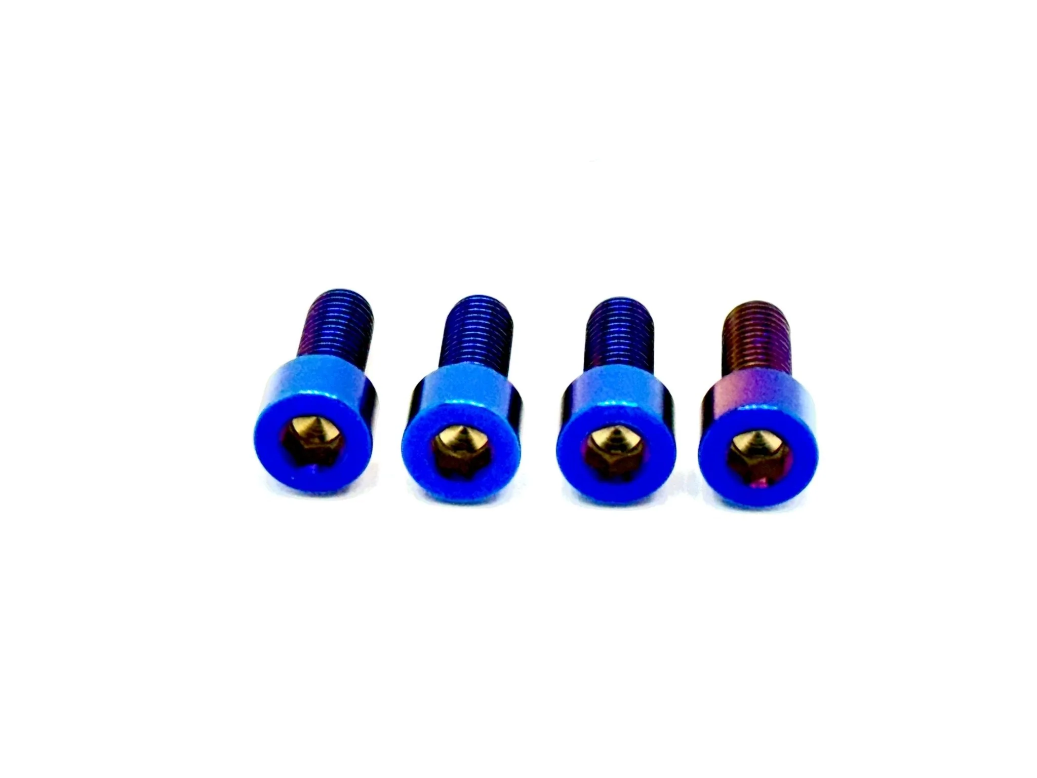 Titanium Bash Guard/ Skid Plate Bolts - Surron LBX and Segway (Set of 4) - Image 8