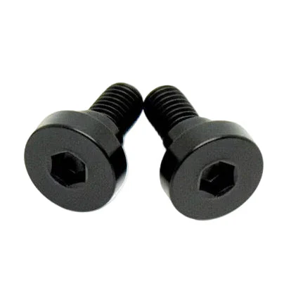 Titanium Battery Lid Bolts - E-Ride Pro -  (Two Pcs) - Image 4
