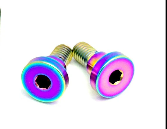 Titanium Battery Lid Bolts - E-Ride Pro -  (Two Pcs) - Image 5