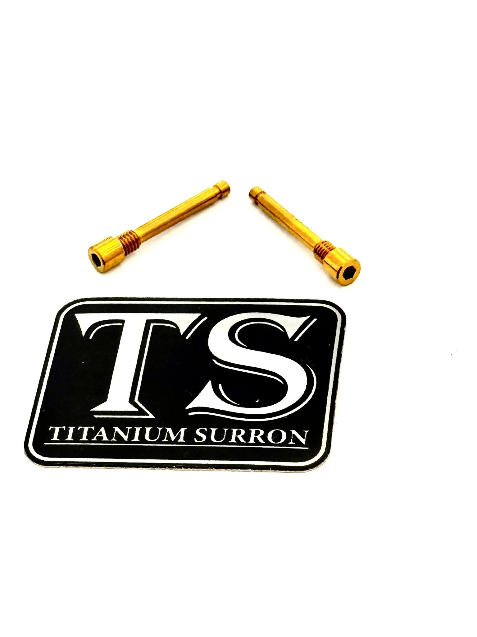 Titanium Brake-Pad Screws/ Pins - Surron LBS LBX, Segway X160 X260, Talaria - Image 15