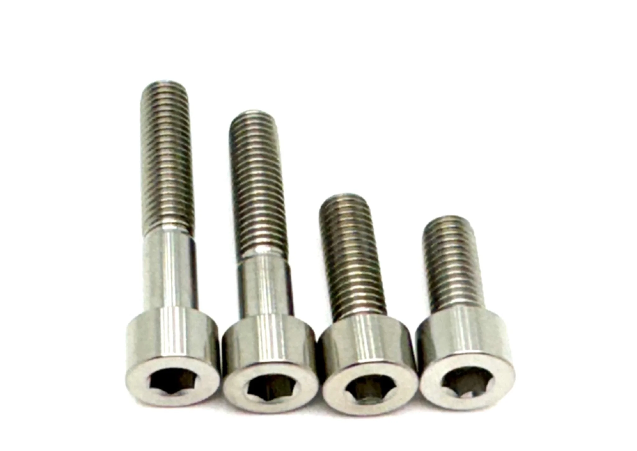 Titanium Motor Bolts - E-Ride Pro ERP - Image 2