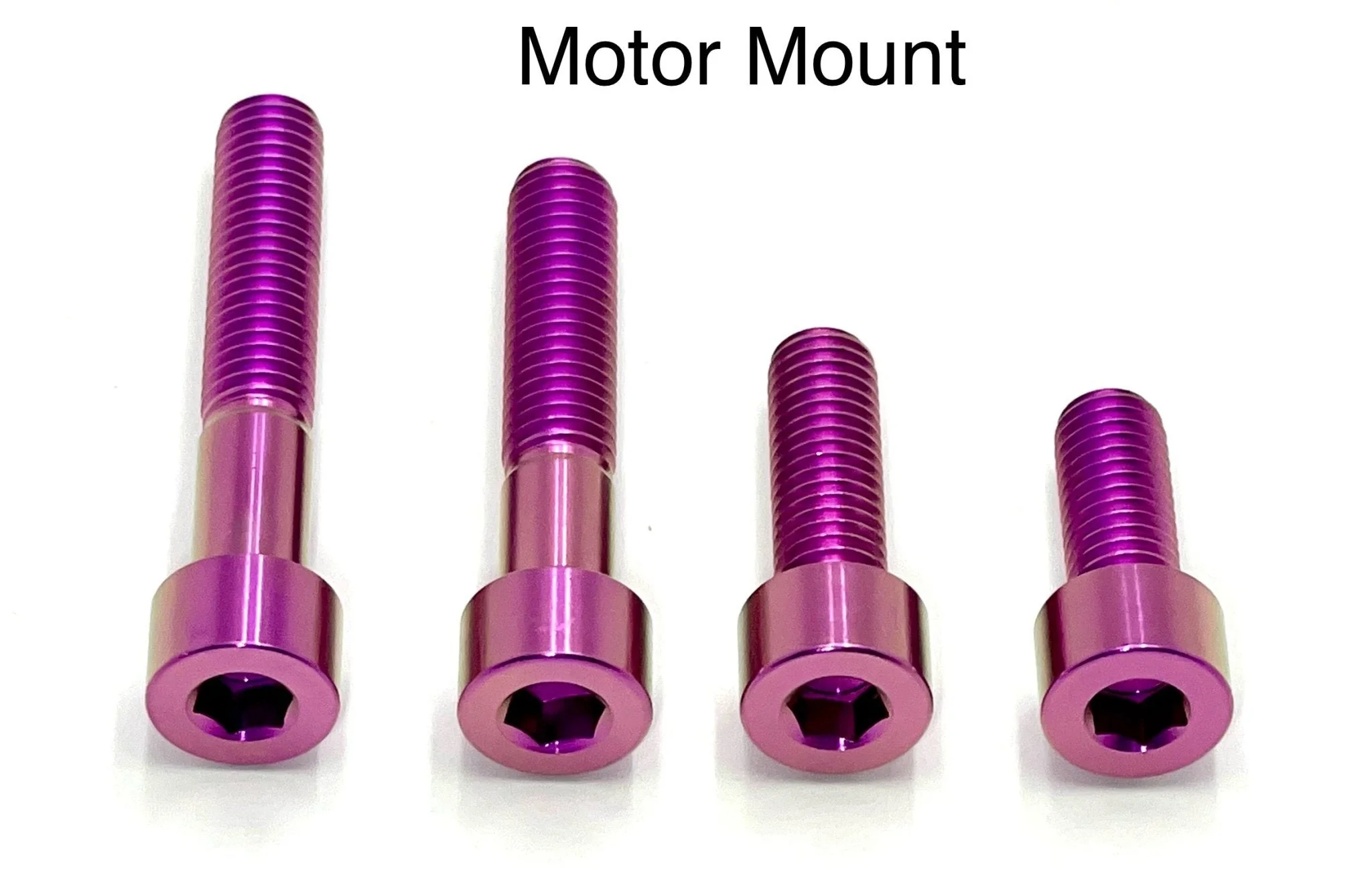 Titanium Motor Bolts - E-Ride Pro ERP - Image 3