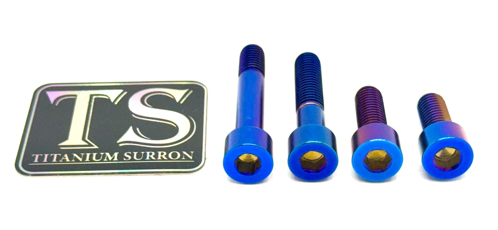 Titanium Motor Bolts - E-Ride Pro ERP - Image 5