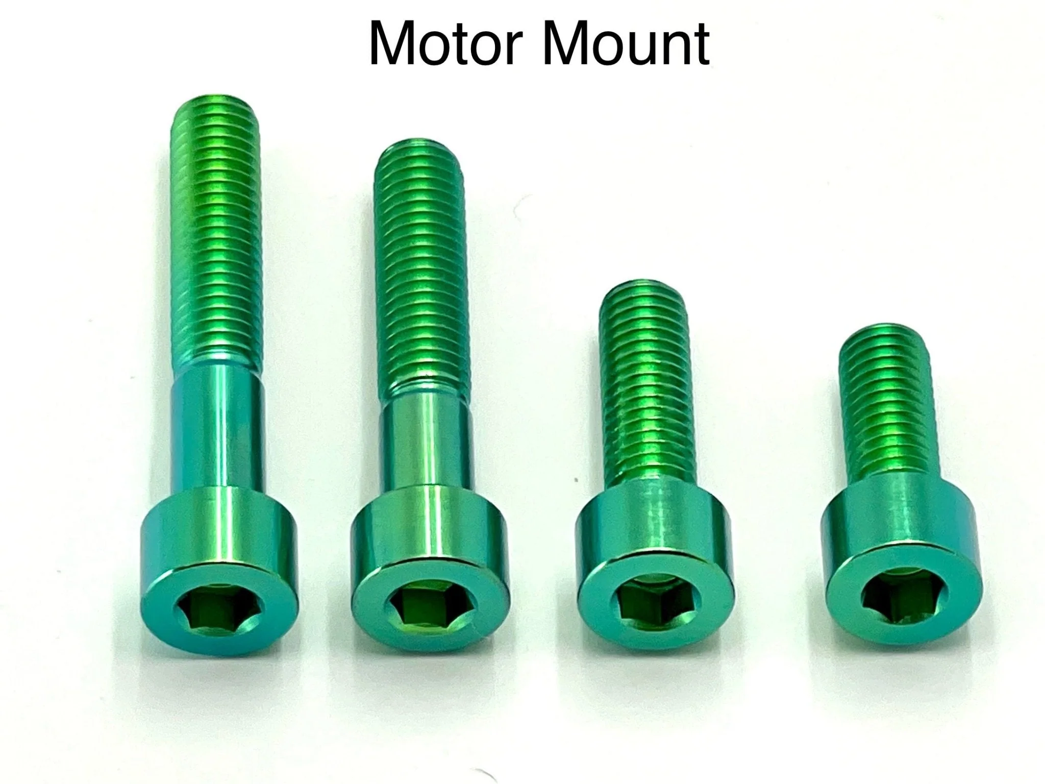 Titanium Motor Bolts - E-Ride Pro ERP - Image 6