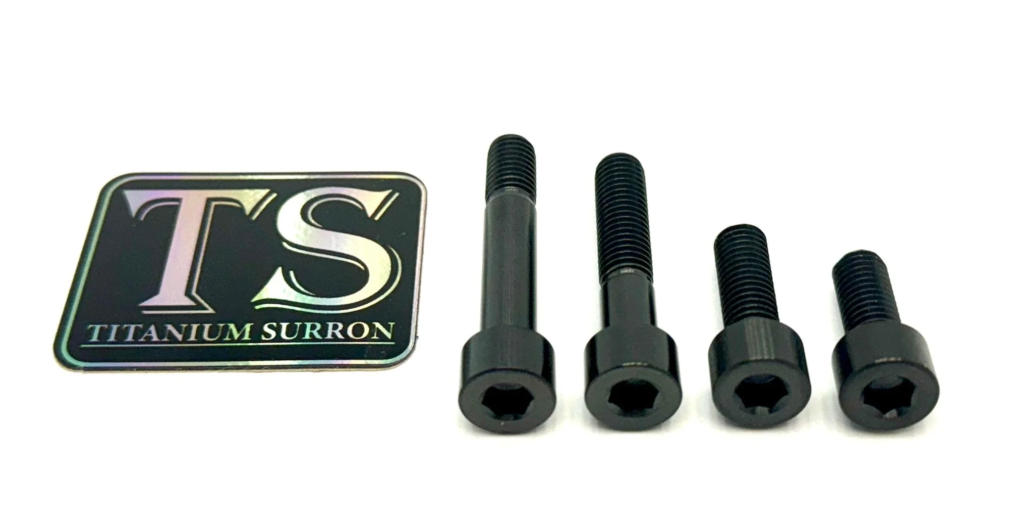 Titanium Motor Bolts - E-Ride Pro ERP - Image 8