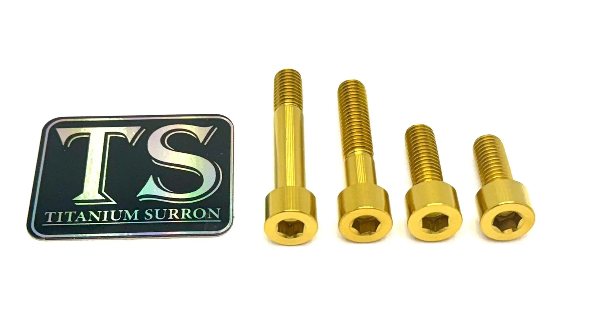 Titanium Motor Bolts - Surron LBX - Image 8